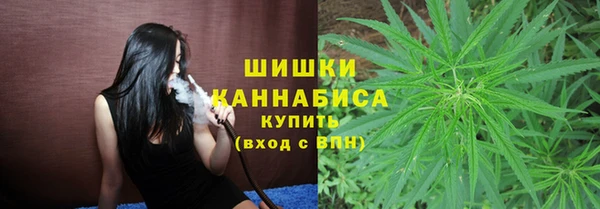 мдпв Верхний Тагил