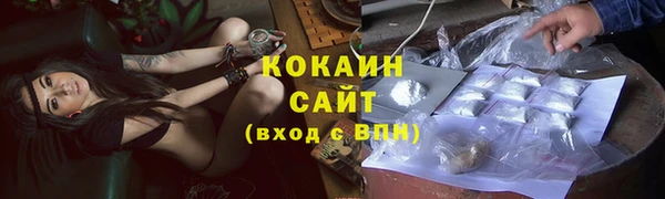 мдпв Верхний Тагил