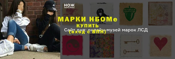 ECSTASY Бородино