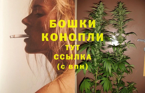 мдпв Верхний Тагил