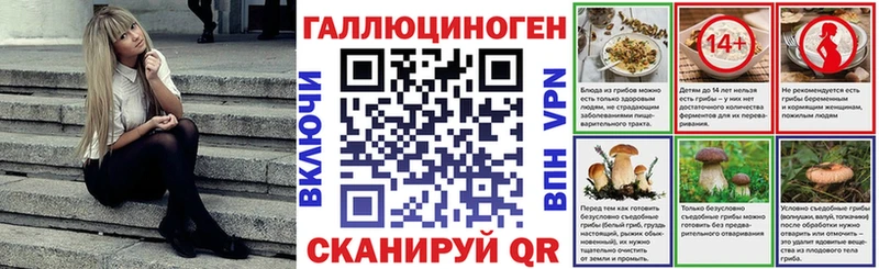 Купить где  Мензелинск  Псилоцибиновые грибы MAGIC MUSHROOMS 